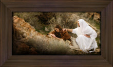 Load image into Gallery viewer, The Comforter