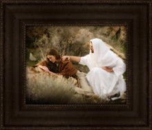 Load image into Gallery viewer, The Comforter
