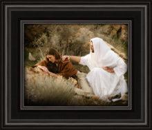 Load image into Gallery viewer, The Comforter