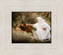 Load image into Gallery viewer, The Comforter