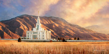 Load image into Gallery viewer, Payson Ready ForThe Harvest Texture