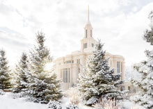 Load image into Gallery viewer, Payson Heavenly Peace