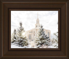 Load image into Gallery viewer, Payson Heavenly Peace