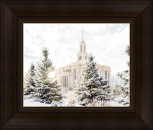Load image into Gallery viewer, Payson Heavenly Peace
