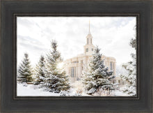 Load image into Gallery viewer, Payson Heavenly Peace