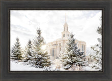 Load image into Gallery viewer, Payson Heavenly Peace
