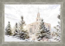 Load image into Gallery viewer, Payson Heavenly Peace