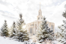 Load image into Gallery viewer, Payson Heavenly Peace