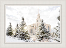 Load image into Gallery viewer, Payson Heavenly Peace