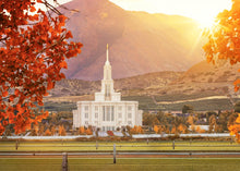 Load image into Gallery viewer, Payson Temple Seeking Light And Knowledge