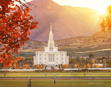 Load image into Gallery viewer, Payson Temple Seeking Light And Knowledge