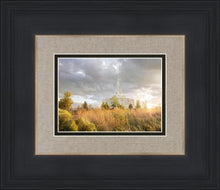 Load image into Gallery viewer, Payson Sunflowers
