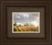 Load image into Gallery viewer, Payson Sunflowers