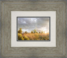 Load image into Gallery viewer, Payson Sunflowers