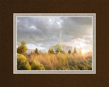 Load image into Gallery viewer, Payson Sunflowers
