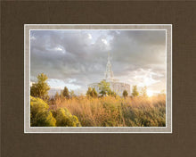 Load image into Gallery viewer, Payson Sunflowers