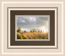 Load image into Gallery viewer, Payson Sunflowers
