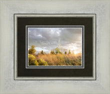 Load image into Gallery viewer, Payson Sunflowers