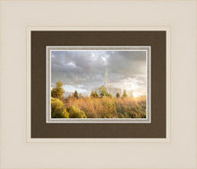 Load image into Gallery viewer, Payson Sunflowers