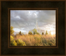 Load image into Gallery viewer, Payson Sunflowers