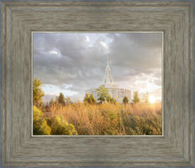Load image into Gallery viewer, Payson Sunflowers