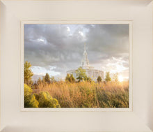 Load image into Gallery viewer, Payson Sunflowers
