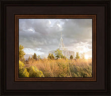 Load image into Gallery viewer, Payson Sunflowers