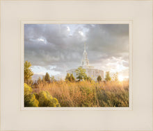 Load image into Gallery viewer, Payson Sunflowers