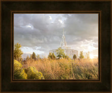 Load image into Gallery viewer, Payson Sunflowers