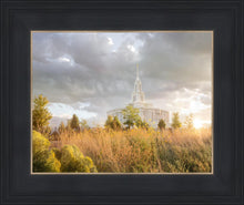 Load image into Gallery viewer, Payson Sunflowers