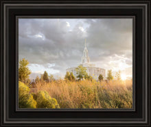 Load image into Gallery viewer, Payson Sunflowers