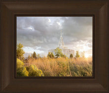 Load image into Gallery viewer, Payson Sunflowers
