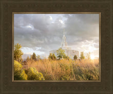 Load image into Gallery viewer, Payson Sunflowers