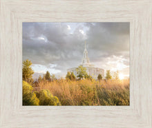 Load image into Gallery viewer, Payson Sunflowers