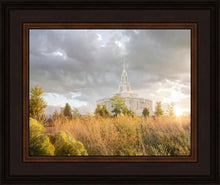 Load image into Gallery viewer, Payson Sunflowers