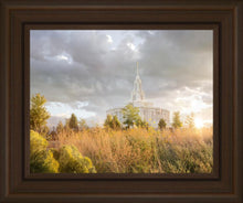 Load image into Gallery viewer, Payson Sunflowers