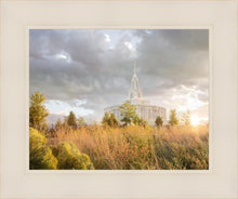 Load image into Gallery viewer, Payson Sunflowers