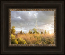 Load image into Gallery viewer, Payson Sunflowers