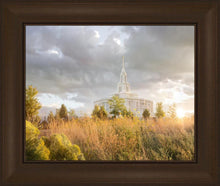 Load image into Gallery viewer, Payson Sunflowers