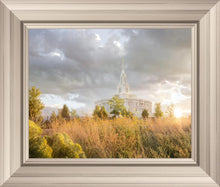 Load image into Gallery viewer, Payson Sunflowers