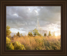 Load image into Gallery viewer, Payson Sunflowers
