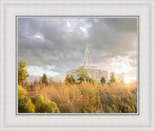 Load image into Gallery viewer, Payson Sunflowers