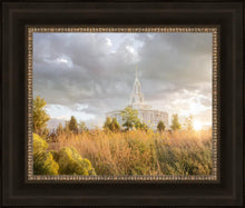 Load image into Gallery viewer, Payson Sunflowers