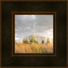 Load image into Gallery viewer, Payson Sunflowers