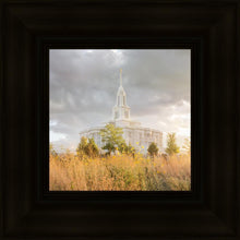 Load image into Gallery viewer, Payson Sunflowers