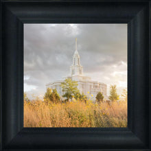 Load image into Gallery viewer, Payson Sunflowers