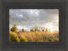 Load image into Gallery viewer, Payson Sunflowers