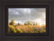 Load image into Gallery viewer, Payson Sunflowers