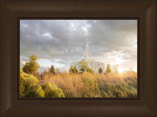 Load image into Gallery viewer, Payson Sunflowers