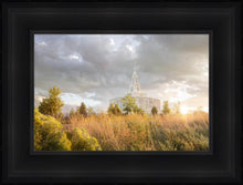 Load image into Gallery viewer, Payson Sunflowers